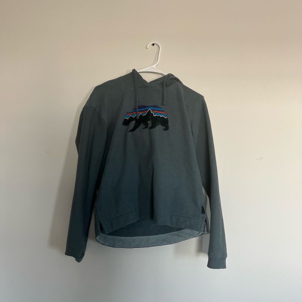 Patagonia hoodie